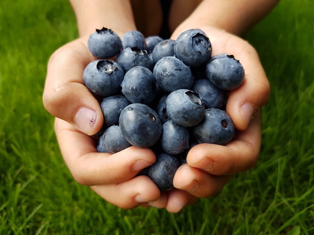 blueberries are rich in what nutrients