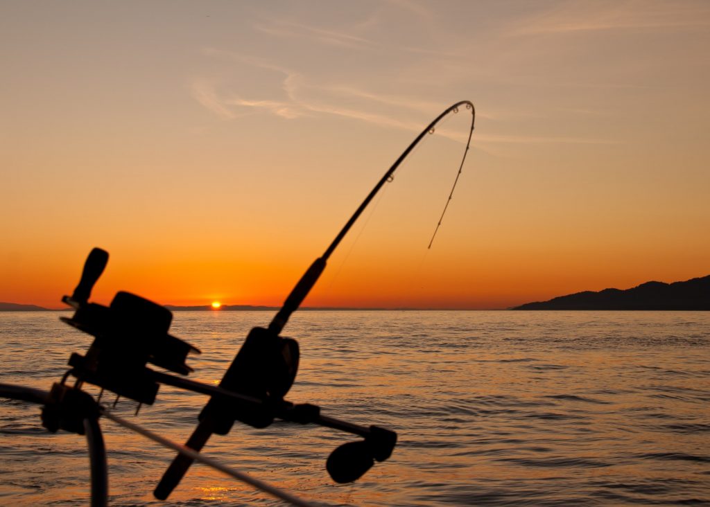 Buy Fishing Gear Online